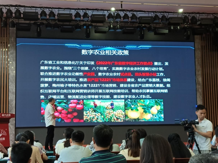 三乡人才市场最新招聘网，连接企业与人才的桥梁