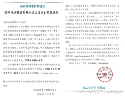 山东高职英语专升本之路，挑战与机遇